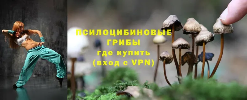 MEGA ТОР  Губкинский  Псилоцибиновые грибы Magic Shrooms 